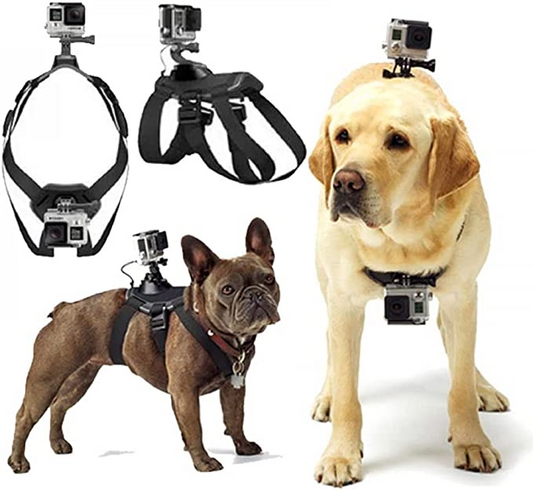 GoPro Dog Harness